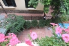 House for rent in Tay Ho alley with small yard large terrace