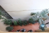 02 bedrooms house with courty yard for rent in Tay Ho area