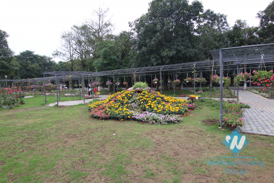 Splendid villa with garden in the green area - Eco Park 