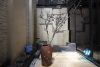 Nice house with nice design for rent in Tay ho area 