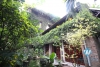 A unique villa with a luscious garden and swimming pool for rent in Tay Ho