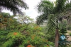 Big house with nice garden for rent in Tay Ho, Ha Noi