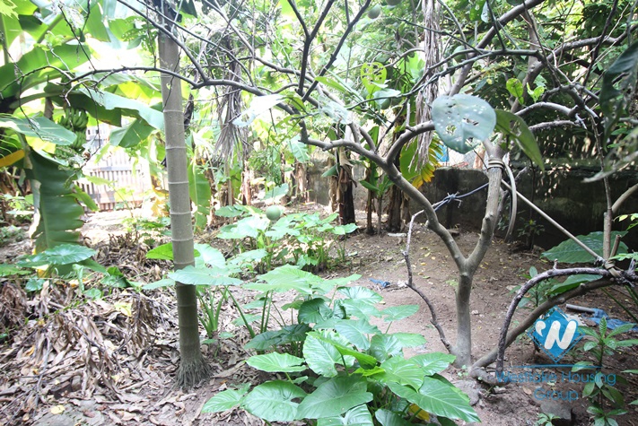 Garden house with swimming pool for rent in Tay Ho