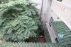 Gorgeous house for rent on Xuan Dieu street, Tay Ho, Hanoi