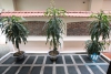 Serviced villa rental in Oriental Palace complex, Tay Ho, Hanoi