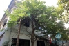 Elegant house with 3 bedroom, front yard and terrace for rent in Ba Dinh, Ha Noi $1150