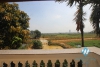 Cosy house near UNIS for rent in Ciputra, Tay Ho, Hanoi