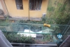 Cheap 02 bedrooms apartment for rent in Dang Thai Mai Street, Tay Ho District, Ha Noi