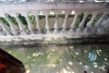 Bright house with yard available for rent in Ciputra, Tay Ho district, Hanoi- fully furnished