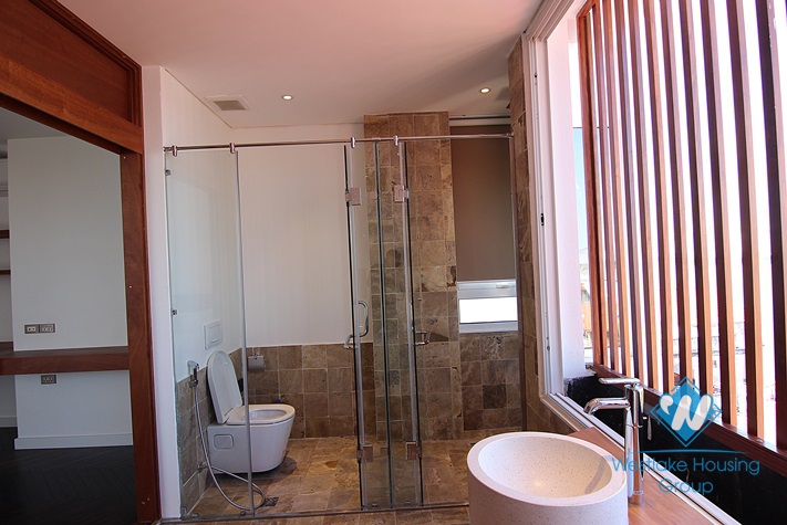 Penthouse apartment in Dang Thai Mai st for rent 