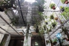 Cheap 4 bedrooms house with big yard for rent in Tay Ho district, Hanoi.