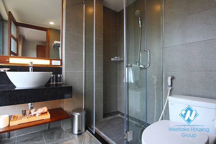 Brand new studio with lakeview for rent in Trich Sai, Tay Ho area