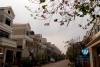Marvelous villa for rent in Star Lake Tay Ho