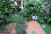 Nice house with large courtyard for rent in Tay Ho area, Westlake, Hanoi, Vietnam.