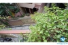 Lovely studio apartment on Dao Tan Str