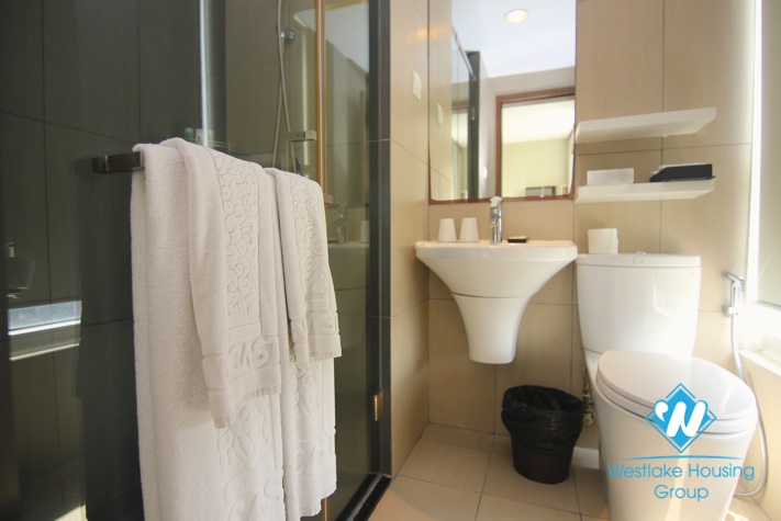 A Luxury High-End 4 bedrooms apartment for rent in Lancaster