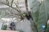 04 bedrooms house with large garden in Ba Dinh district, Hanoi