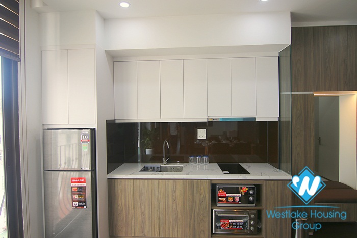 Elegant 1 bedroom apartment for rent on Lieu Giai street