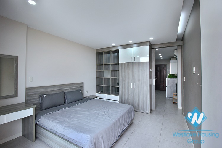 Lake view apartment for rent in Trinh Cong Son st, Tay Ho