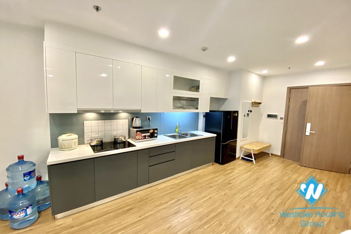 Elegant 01 bedroom apartment in good quality building in M1- Vinhomes Metropolis. 
