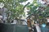 Modern house with swimming pool for lease in To Ngoc Van street, Tay Ho, Hanoi