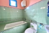 Green 3 beds house with front-yard for rent in Tu Hoa area, Tay Ho