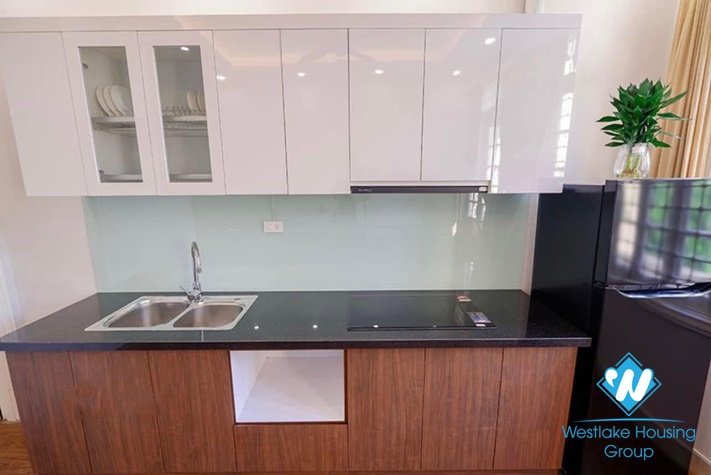 Fully furnished apartment for lease in Dang Thai Mai street ,Tay Ho district.