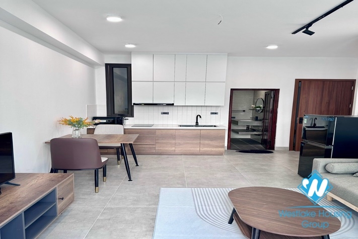 Brand new one bedroom apartment for rent in Nghi Tam st, Tay Ho district.