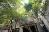 Elegant house with 3 bedroom, front yard and terrace for rent in Ba Dinh, Ha Noi $1150