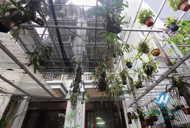 Cheap 4 bedrooms house with big yard for rent in Tay Ho district, Hanoi.